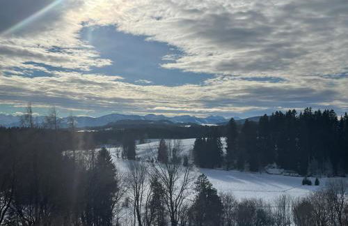 Traumhafter Bergblick im Allgäuer Luftkurort - Photo 24