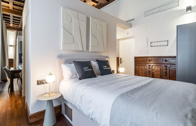 Limehome Vitoria Palacio Álava-Velasco - Foto 46