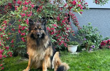 “ApartCalm - like at Home” – close to Subway - Foto 20