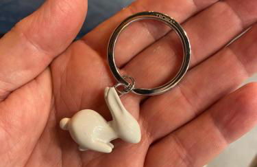 Attico White Rabbit - Foto 16