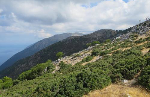 Villa Fotini - Foto 48