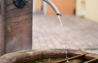 VILLA BERTA-EuropaPark-Schwarzwald-Freiburg - Foto 43