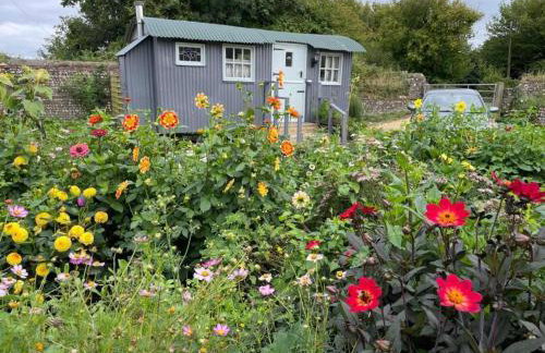 Hut - Sleeps 2 - Petworth House 10 minutes - Foto 1