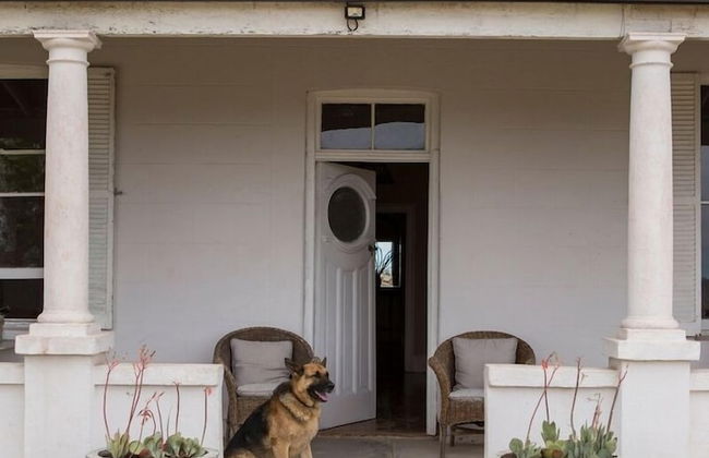 Sneeuberg Nature Reserve - Photo 19