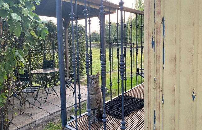 Gypsy Caravan in Weideblick With Farm Animals - Foto 31