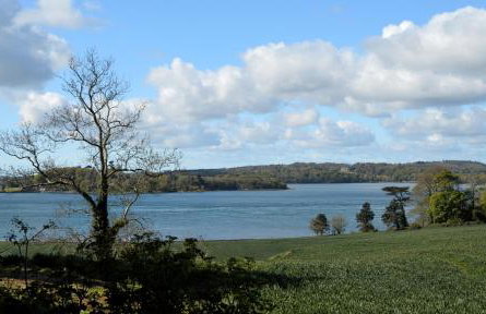 Ropewalk Cottage - A Little Treasure By The Coast - Foto 41