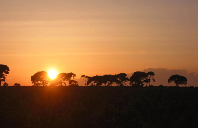 Domaine La Yole Wine Resort - Foto 43