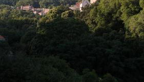 Azenha da Duquesa - Foto 4