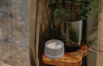 Staghorn | Modern Lux Mirror Home | HotTub & Woods - Foto 23