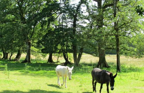 Holiday Home Les Trois Baudets by Interhome - Foto 36