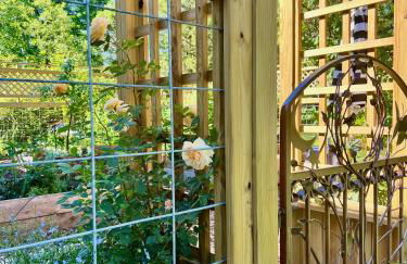 1890 CapeCod farmhouse:Charming, Private, Spacious - Photo 13