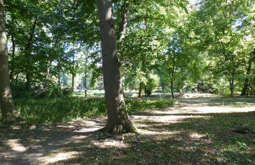 Ferienwohnung mit Brockenblick - Foto 8