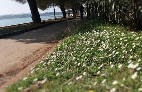 Bright & Cozy Medulin apartments - Foto 46