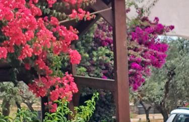 Finca Dehesa Hacienda Guadalupe - Foto 11