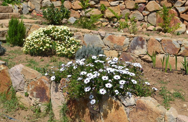 Mira Guincho house with sea view and garden - Photo 54