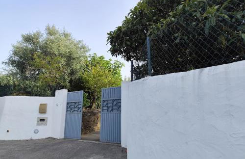 Village house with pool - Foto 33