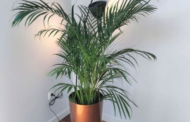 Vista do Mar Comfortable Holiday Residence - Foto 18