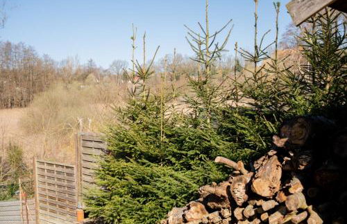 Ferienhaus-Wehr - Foto 53