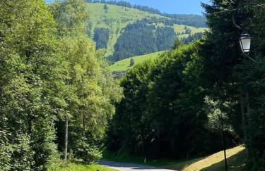 Chalet Le Saint Bernard - Sauna - Alp'in C - Châtel - Foto 32