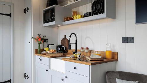 Luxury Shepherd hut with hot tub - Foto 2