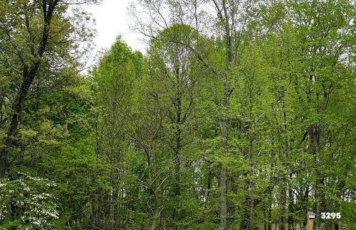 Applewood Ridge Guest Rental - Foto 32