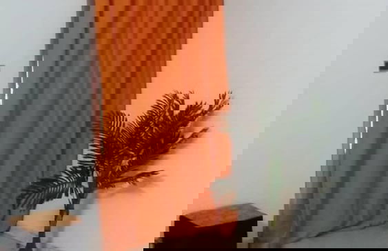 Résidence Les Jasmins - Photo 3