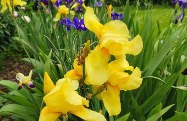 Apartman Sunce - Foto 54