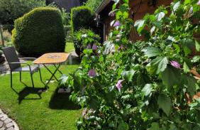 Apartment in ruhiger Südvorstadt - Foto 21