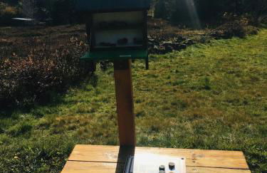 Fewo Nationalpark Schwarzwald - Foto 33