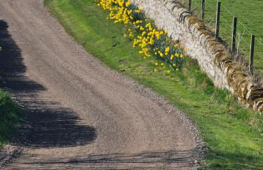 Jerusalem Farm Pods - Foto 14