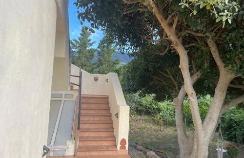 Carpe Diem - Photo 33