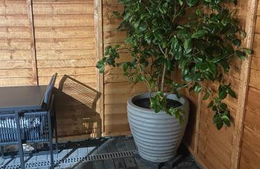 The Terrace - Foto 22