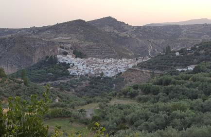 CASA DEL VIDRIO - Foto 39