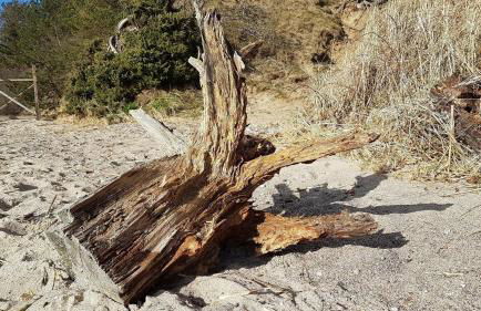 Zeit für Erholung, Ferienhaus A&C Usedom - Foto 18