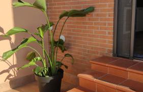 AtticoCinque - Foto 22