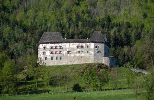 Ferienwohnung Nagerlhof - Foto 5