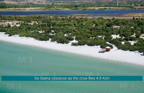 Il Fenicottero - Foto 41