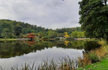 Forest Inn, retreat in nature - Foto 11