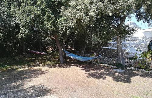 Trullo Alessandro e Villa Raffaela - Foto 102