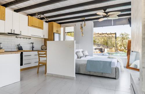 Aegea & Nerion Villas Private Pool Retreats in Skopelos - Foto 26