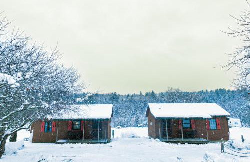 Vermont Farmhouse Cabin #2 - Foto 16
