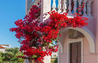 Margarita Resort - Foto 60