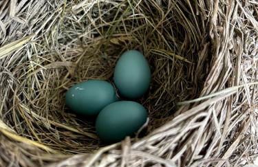 Bright, Airy Home in Hudson! - Foto 10