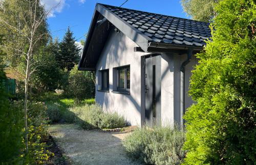 Ackermannia - Foto 40