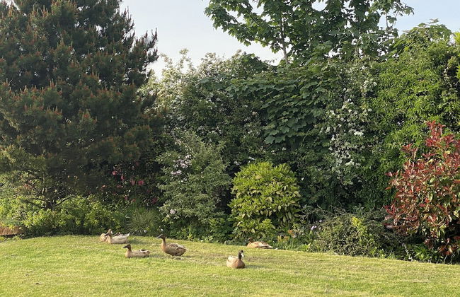 A Serene and Tranquil Escape for two - Photo 19