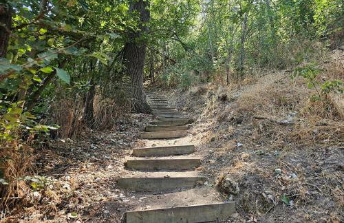 Beautiful Alamedas, un santuario donde el tiempo se detiene - Foto 127