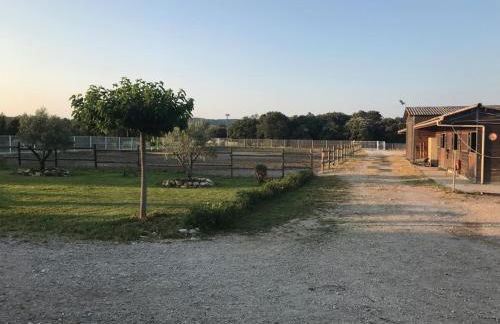 Gîte Pierre Blanche - Foto 16