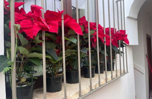 Corazón 23 - Foto 32