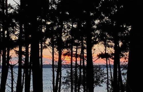Cosy&Charme piscine chauffée Bassin d'Arcachon - Foto 62