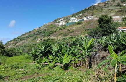 Sea View Villa - Foto 7